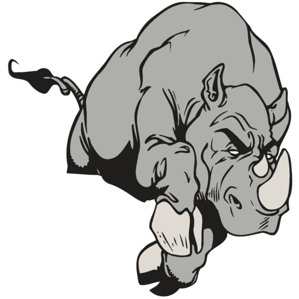 AR5 Rhino 11 RQC Miniaturansicht