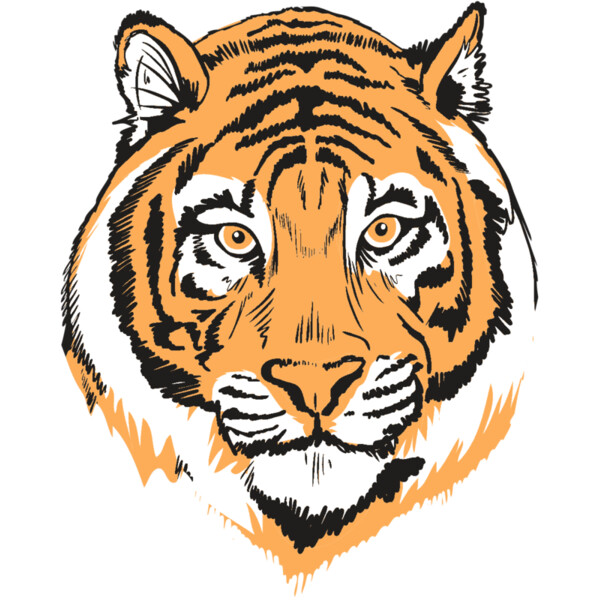 AR9 TIGER HEAD RQC Miniaturansicht