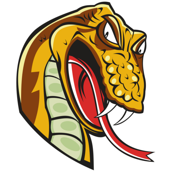 SNAKE HD0502 RQC Miniaturansicht