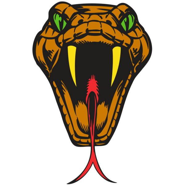 BAW SNAKE 05 RC Miniaturansicht