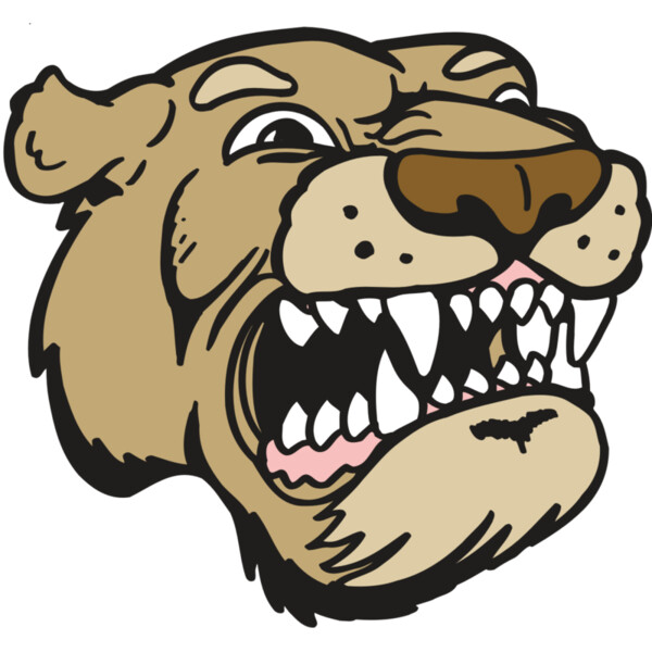 AR5 COUGAR 04 RQC Miniaturansicht