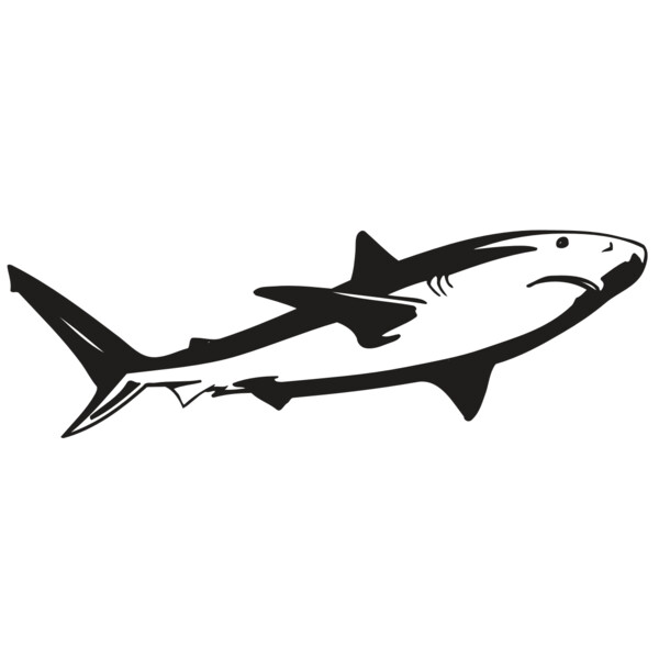 AR5 Shark 15 RQC Miniaturansicht