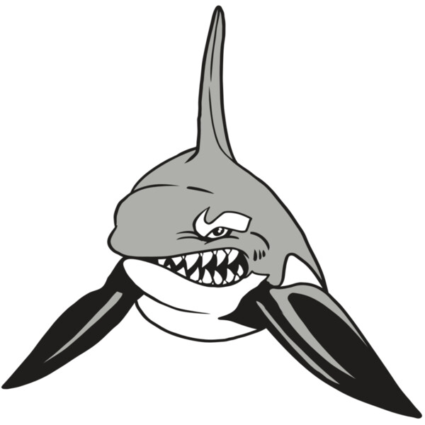 AR19 ORCA 03 RQC Miniaturansicht