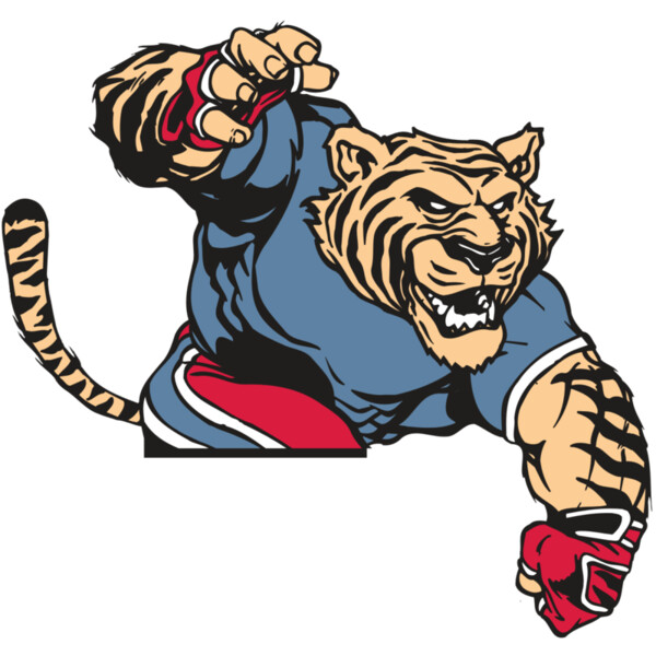 AR TIGER 30 RC Miniaturansicht