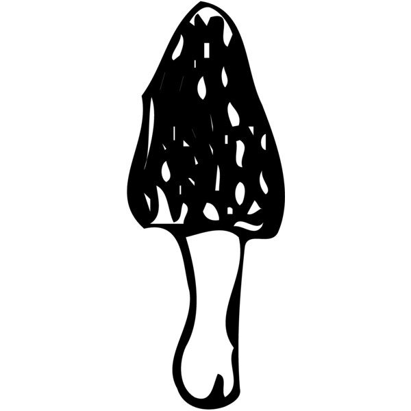 VEG026 Miniaturansicht