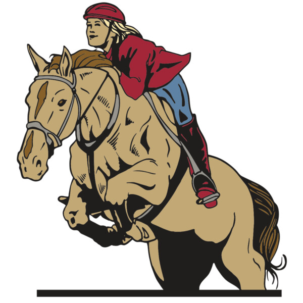 AR EQUEST 12 RC Miniaturansicht