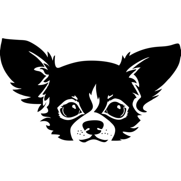 Hund chihuahua Miniaturansicht