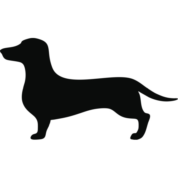 Hund Dackel Miniaturansicht