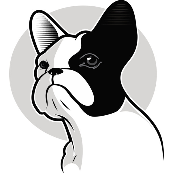 Hund Französische Bulldogge Miniaturansicht
