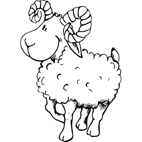 Widder Miniaturansicht