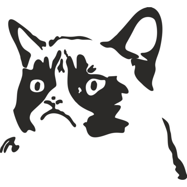 grumpy cat  Miniaturansicht