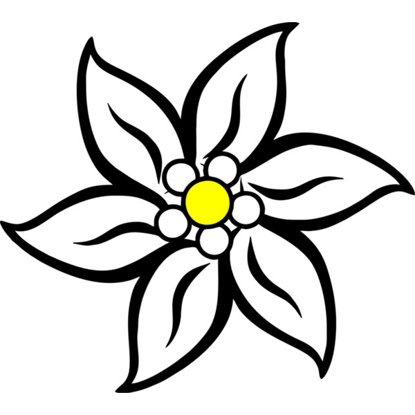 Edelweiß Miniaturansicht